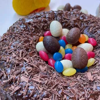 Gâteau au chocolat en forme de nid pour Pâques